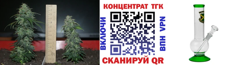 omg tor  Владивосток  ТГК Wax 