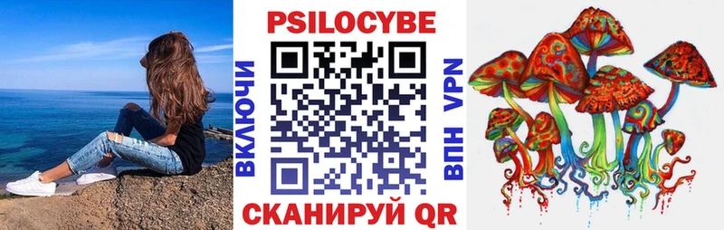 где можно купить   Владивосток  blacksprut ссылки  Галлюциногенные грибы прущие грибы 