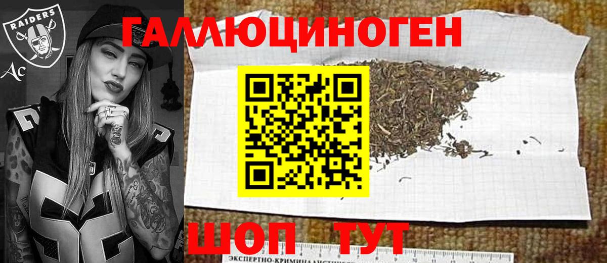 Галлюциногенные грибы Psilocybine cubensis  Владивосток 