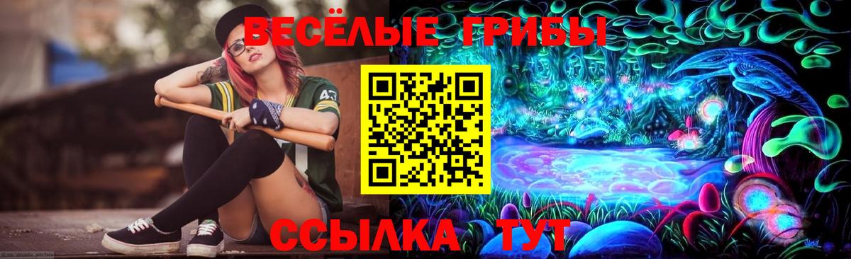 Владивосток  Псилоцибиновые грибы ЛСД  Вход с VPN  Галлюциногенные грибы прущие грибы 