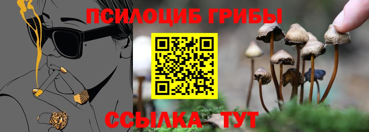 Галлюциногенные грибы мухоморы Владивосток